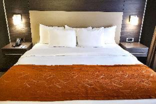 Comfort Suites Northlake - 6
