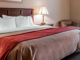 Wingate by Wyndham Livonia - 2