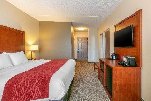 Comfort Inn & Suites Nashville Franklin Cool Springs - Franklin - 8