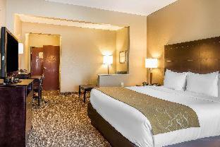 Comfort Suites North - Fort Wayne - 5