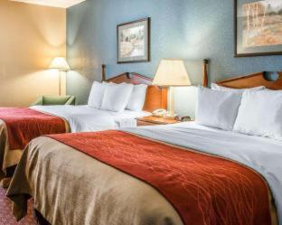 Quality Inn Upper Sandusky - Upper Sandusky - 9