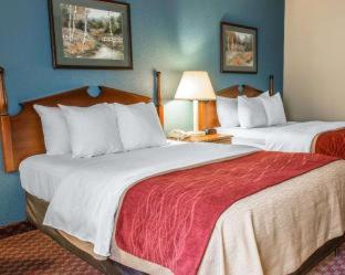 Quality Inn Upper Sandusky - Upper Sandusky - 7