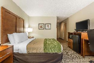 Quality Inn Summerville-Charleston - Summerville - 8
