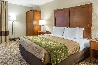 Quality Inn Summerville-Charleston - Summerville - 7
