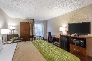 Quality Inn Summerville-Charleston - Summerville - 6