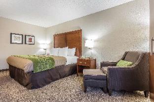 Quality Inn Summerville-Charleston - Summerville - 5