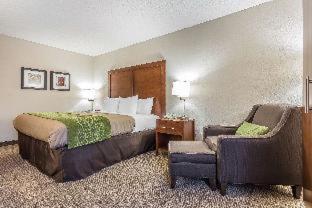 Quality Inn Summerville-Charleston - Summerville - 2