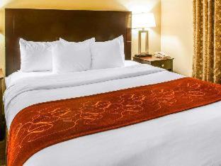 Comfort Suites Gallup East Route 66 and I-40 - Gallup - 9