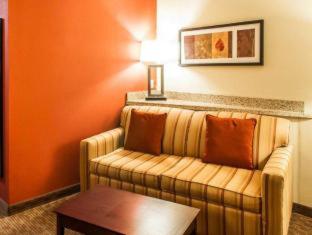 Comfort Suites Gallup East Route 66 and I-40 - Gallup - 8