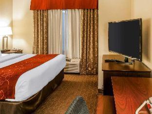 Comfort Suites Gallup East Route 66 and I-40 - Gallup - 7