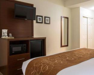 Comfort Suites Cumming-Atlanta near Northside Hospital Forsyth - Cumming - 9