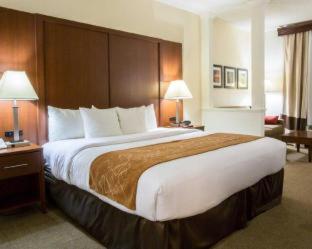 Comfort Suites Cumming-Atlanta near Northside Hospital Forsyth - Cumming - 7