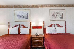 Travelodge by Wyndham Great Barrington Berkshires - Great Barrington - 8