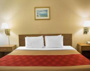 Econo Lodge Drums - Drums - 9