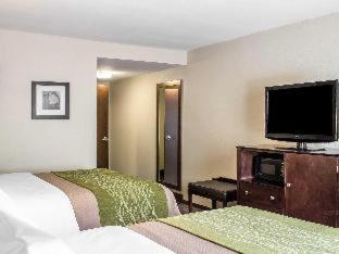 Comfort Inn St Clairsville - St. Clairsville - 2