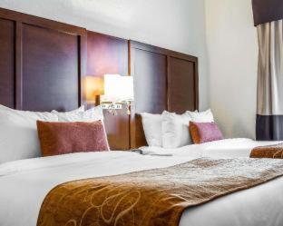 Comfort Suites Woodland - Sacramento Airport - Woodland - 9