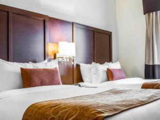 Comfort Suites Woodland - Sacramento Airport - Woodland - 8