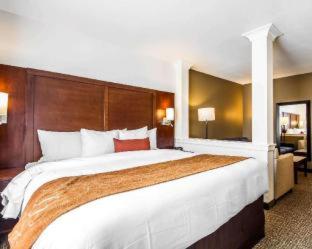 Comfort Suites Woodland - Sacramento Airport - Woodland - 1