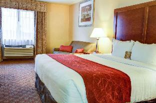 Comfort Inn Newport - 7