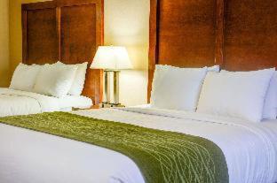 Comfort Inn Newport - 3