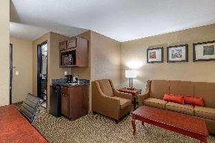 Comfort Suites Ennis - 7