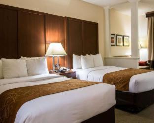 Comfort Suites Cumming-Atlanta near Northside Hospital Forsyth - Cumming - 4