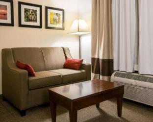 Comfort Suites Cumming-Atlanta near Northside Hospital Forsyth - Cumming - 3