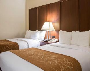 Comfort Suites Cumming-Atlanta near Northside Hospital Forsyth - Cumming - 1