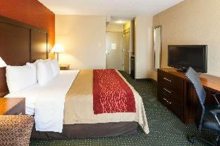 Comfort Inn & Suites Statesville - Mooresville - Statesville - 9