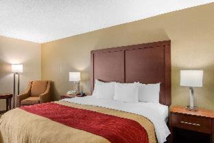 Comfort Inn Chester - Richmond South - 4