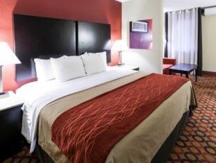 Comfort Inn & Suites Statesville - Mooresville - Statesville - 4