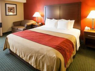 Comfort Inn & Suites Statesville - Mooresville - Statesville - 1