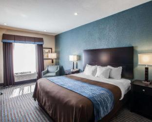 Comfort Inn Lees Summit - Hwy 50 & Hwy 291 - Lee's Summit - 8