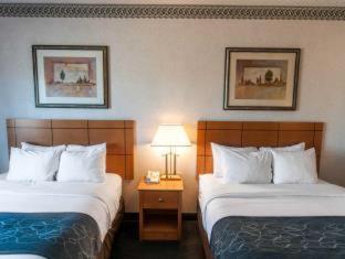 Comfort Suites University - Las Cruces - 3