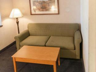 Comfort Suites University - 1