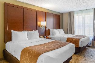 Comfort Suites Lancaster Amish Country - 6