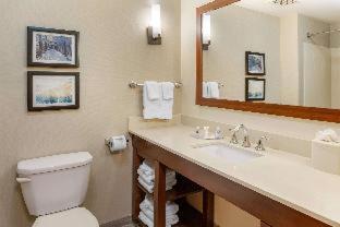 Comfort Suites Lancaster Amish Country - Lancaster - 5
