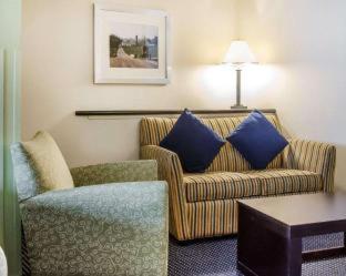 Comfort Suites Lancaster Amish Country - 4