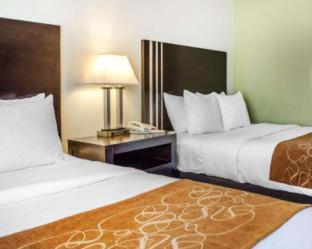Comfort Suites Lancaster Amish Country - Lancaster - 3