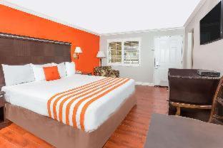 Casa Blanca Hotel - Orange - 5