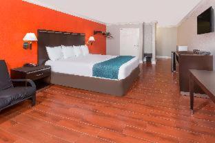 Casa Blanca Hotel - Orange - Orange - 4