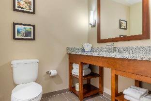 Comfort Inn & Suites - 8