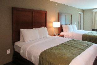 Comfort Inn & Suites - 1