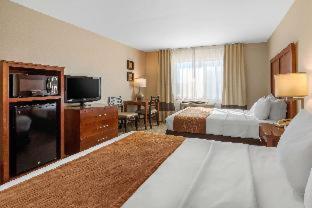 Comfort Inn & Suites Murrieta Temecula Wine Country - Murrieta - 7