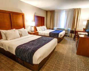 Comfort Inn & Suites Murrieta Temecula Wine Country - Murrieta - 3
