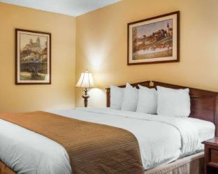 Baymont by Wyndham Selma - Selma - 1