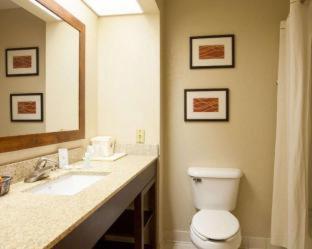 Quality Inn & Suites I-40 East - North Little Rock - 7