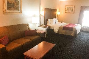 Comfort Inn & Suites Mount Pocono - Mount Pocono - 8