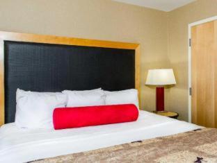 Cambria Hotel Appleton - 1