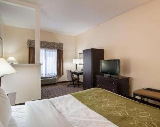 Comfort Suites Abingdon I-81 - Abingdon - 6